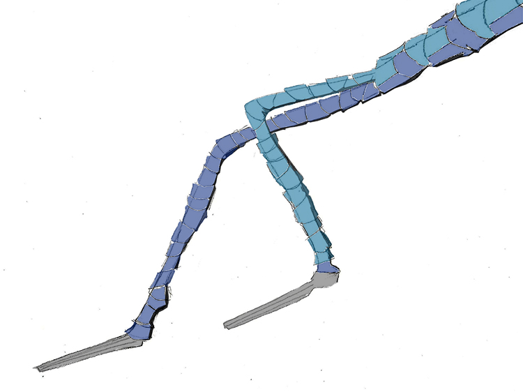 Patas